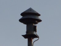 P1020356.JPG