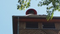 20180807_132829.jpg