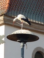 P1030801 - Kopie.JPG