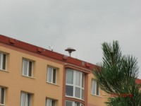 CIMG1401.JPG