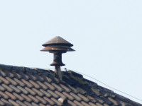 P1820414.JPG