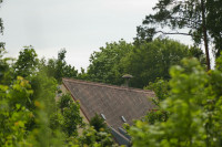 P1800086.JPG