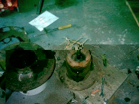 Res Altsirene (13).jpg