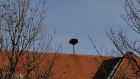DSC09628.JPG