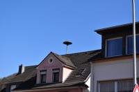 DSC_0046.JPG (241.91 KiB) 15534 mal betrachtet Nochmals die zweite Sirene in Rech von etwas näher dran.