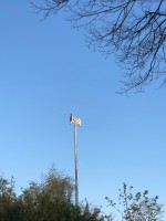 247420A0-EFEC-4ED9-9214-89A34AF90D2B.jpeg