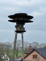 IMG_4371.jpg