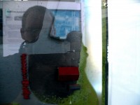 Der Versuch einer Nahaufnahme