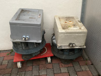 IMG_3295.jpeg