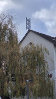 20251126_140756.jpg (457.56 KiB) 1073 mal betrachtet Am Tambourwäldchen 2