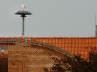 E57 mit Möve