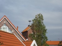 SireneLoog1.jpg