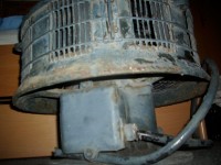 IMG_0894.JPG