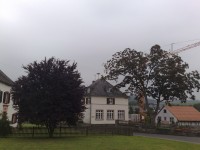08082009237a.jpg