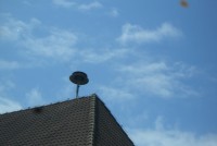 Bild2