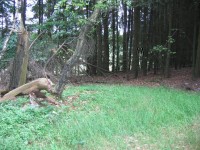 HLS-Glashütten1