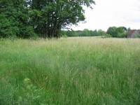 HLS-Muthmannsreuth
