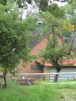 53°11´04.05´´ N, 10°55´44.72´´ O ("Steendamm", 29456 Wietzetze)