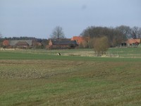 44116172rf1.jpg