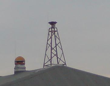 s145_multicar.jpg