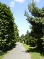 6. Herrenweg