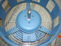 The painted motor and stator