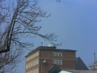 Auer-Mühle Grau-Rheindorf