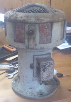 Hier das Bild der Dame