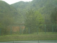 Pilz in SL kurz vorm Karawankentunnel
