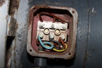 das alte Kabel ist raus, die Wicklungsenden sehen brauchbar aus