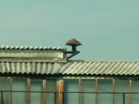 CIMG0001.JPG