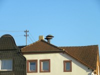 Schönes Duo...