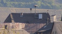 IMGP2464.jpg (350.06 KiB) 13331 mal betrachtet Mutter und Tochter