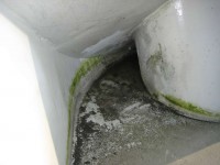 Horn mit Wasserrändern und Eis drin