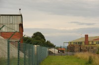 DSC_9798.jpg