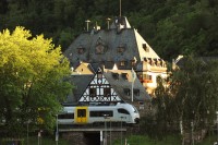 DSC_9872.jpg