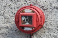 der alte Melder