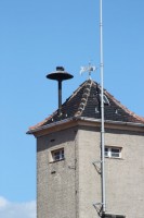 IMG_0920_1.JPG