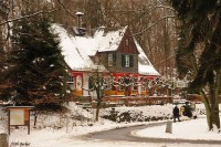 DSC_6010.JPG