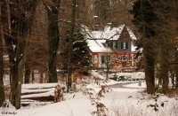 DSC_6004.JPG