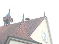 aufgehellt und schärfer gestellt.