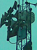 Bild010.jpg