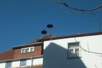 Bild4SirenenpärchenSiegfriedstraße120Heppenheim.JPG