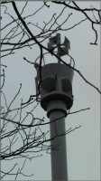 HLSDarmstadt3.JPG