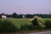 aus der Ferne gesehen (nur der Sirenenkopf ist zu sehen)