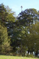 225_04.jpg