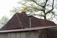 IMG_8270_2.jpg