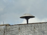 IGWasiP5120166.JPG (1.07 MiB) 6832 mal betrachtet 2. Auf Dach bei Bild 1. wäre die Dame auch nie allein. Die nähste Schwester ist in Sichtweite.