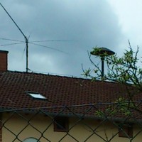 DSC_0092.jpg