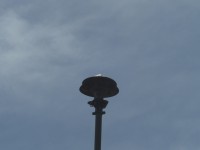 CIMG8716.JPG